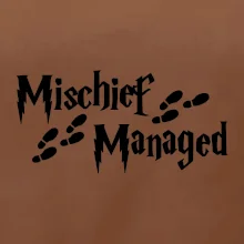 Harry - Mischief Managed