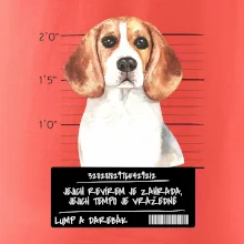 Lump a darebák bígl