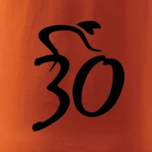 Cyklista slaví třicítku (30)