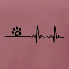 Veterinář EKG