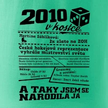 2010 v kostce