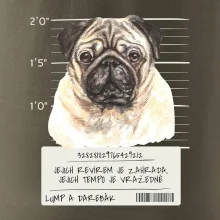 Lump a darebák mopsík