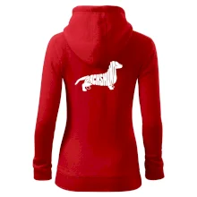 Jezevčík - Dachshund