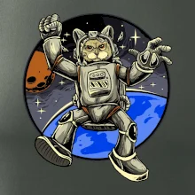 Kočičí astronaut