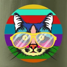 Kočka při barevném západu