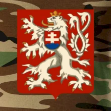 Znak malý První Republika československá 1918–1920