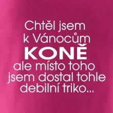 Chtěl jsem dostat k Vánocům koně
