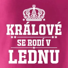 Králové se rodí v lednu