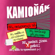 Výhody řidiče kamionu Výhody řidiče kamionu