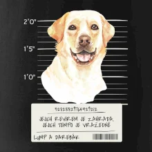 Lump a darebák labrador