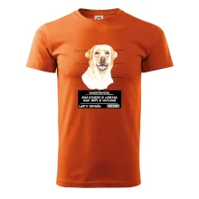 Lump a darebák labrador