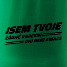 Jsem tvoje žádné vracení Jsem tvoje žádné vracení