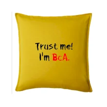 Trust me I´m  BcA. / Věř mi jsem BcA.