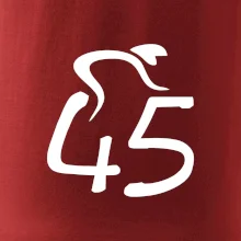 Cyklista slaví pětačtyřicítku (45)