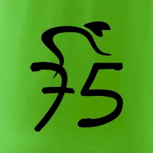 Cyklista slaví pětasedmdesátku (75)