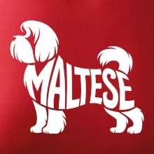 Maltézský psík nápis v těle