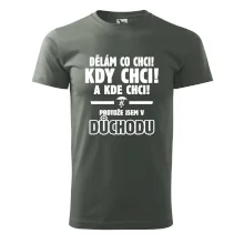 Dělám co chci, kdy chci důchod