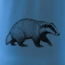 Zvířata Krkonoš – jezevec lesní