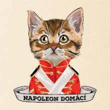 Napoleon domácí kočka