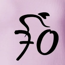 Cyklista slaví sedmdesátku (70)