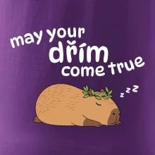 May your dřím come true