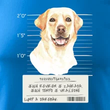 Lump a darebák labrador
