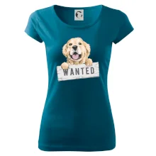 Zlatý retriever - štěně wanted