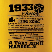 1933 v kostce