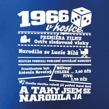 1966 v kostce