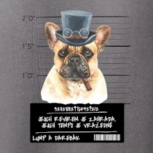 Lump a darebák francouzský buldoček