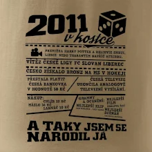 2011 v kostce