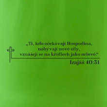 Citáty z bible - Izajáš 40:31