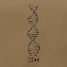 Cyklistovo DNA