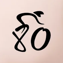 Cyklista slaví osmdesátiny (80)