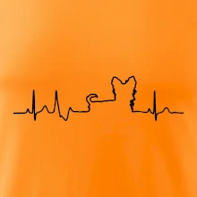 Jorkšírský teriér EKG Jorkšírský teriér EKG