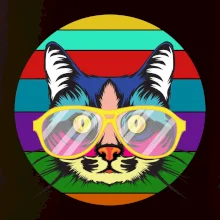 Kočka při barevném západu