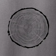 Letokruhy 100 bez věku