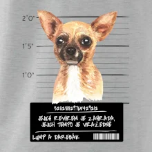 Lump a darebák čivava