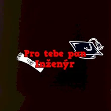 Pro tebe pan Inženýr
