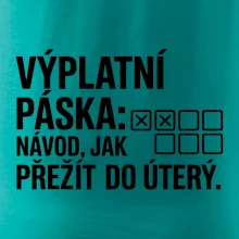 VÝPLATNÍ PÁSKA: Návod, jak přežít do úterý