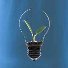 Žárovka květináč