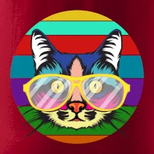 Kočka při barevném západu