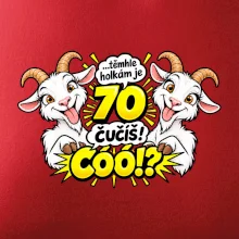 Těmhle holkám je 70, čučíš co?