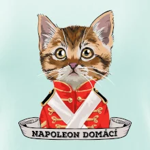 Napoleon domácí kočka