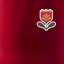 Folklor na prsu tulipán