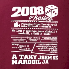 2008 v kostce
