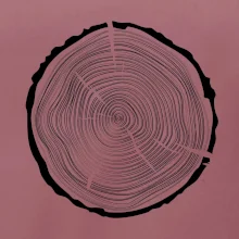 Letokruhy 50 bez věku