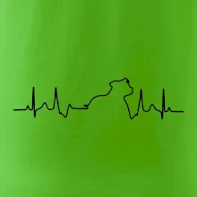 Stafordšírsky bulteriér EKG