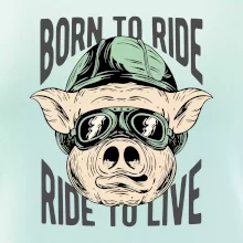 Born to Ride prasák
