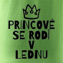 Princové se rodí v lednu